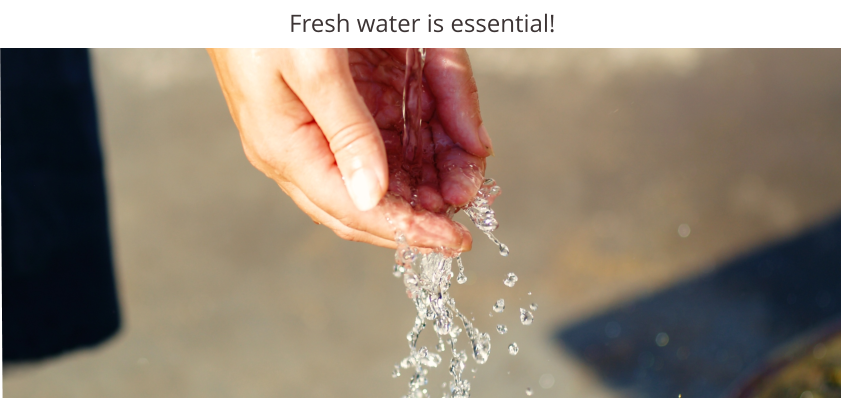 Fresh water is essential!