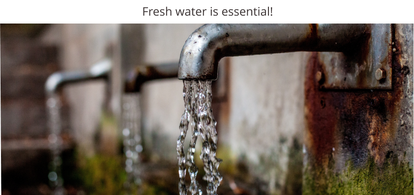 Fresh water is essential!